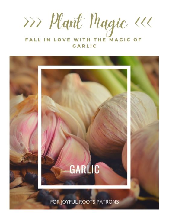 Garlic Herbal Monograph Zine