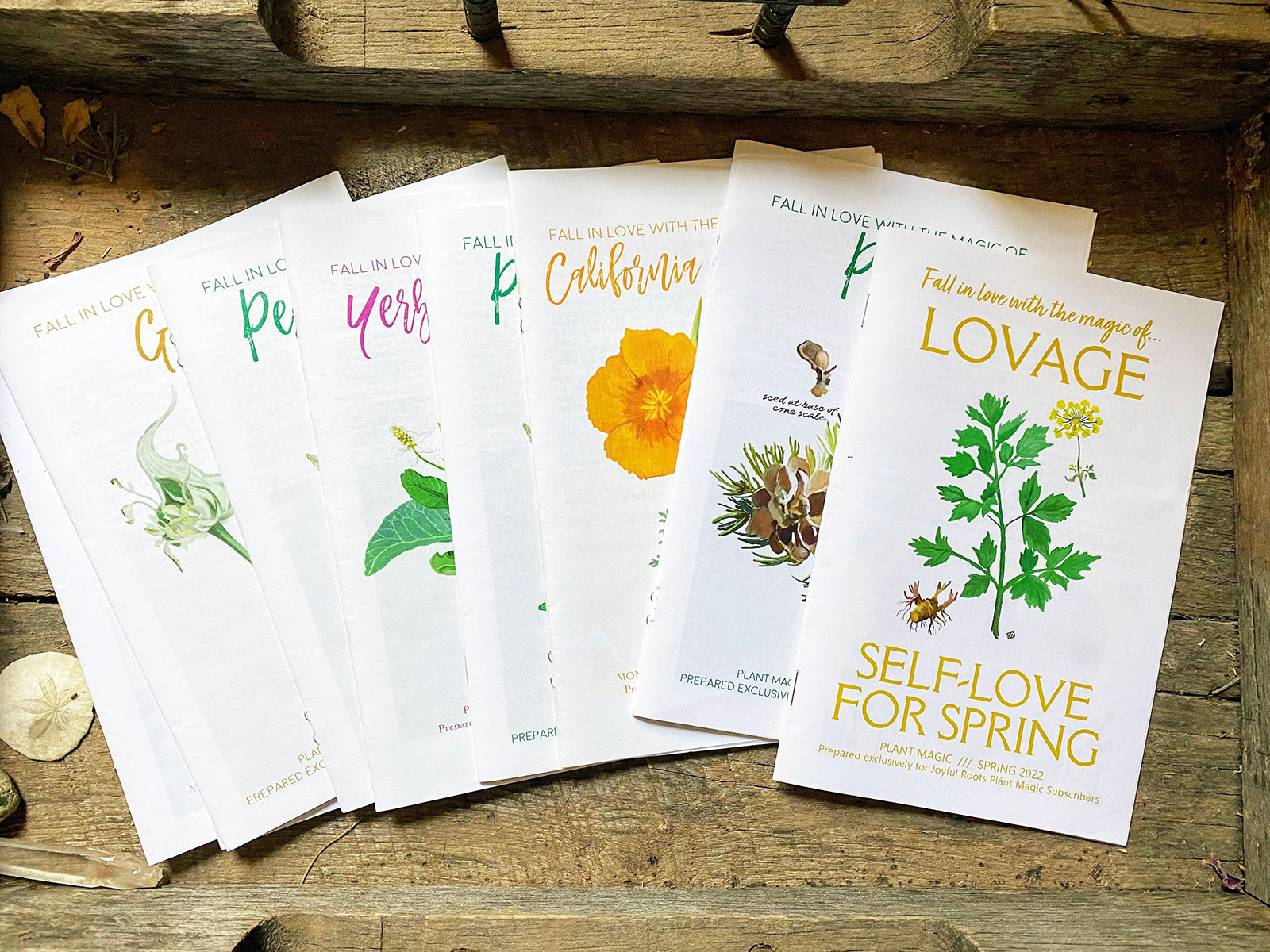 Autumn Plant Magic – Printed Zine Only | Joyful Roots - Botanical ...