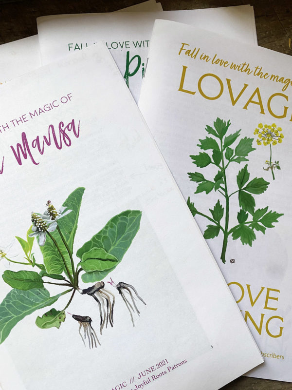 Herbal Zines, Plant Magic, Herbal Lore and Wisdom, Printed Mini Magazine, Monograph