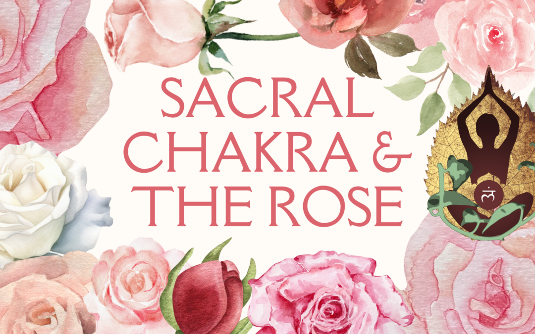 The Sacral Chakra and The Rose - Our Creativity Power Point